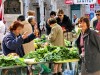 Dubrovnik green market, Dubrovnik