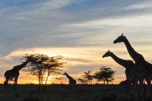 Big Time Holidays Limited. Nairobi. Kenya Big Time Holidays Limited. Nairobi. Kenya