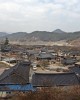 Private tour in Boseong