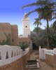Desert Tour