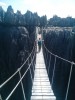 walking on a Suspension bridge  in the Tsingy of Bemaraha, Morondava, Bekopaka