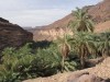 Oasis Tergit in Mauritania - Tours in Mauritania