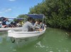 Searching for Crocodiles at Yucatan, Merida, State of Yucatan