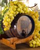 Wine tasting tour in Cricova