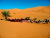 desert camp, Merzouga, erg chebbi