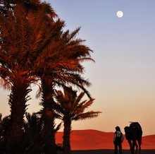 Tour in Casablanca,Morocco