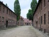 Auschwitz Blocks, Auschwitz-Birkenau