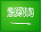 Private guides in Saudi Arabia