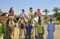 Camel Rides