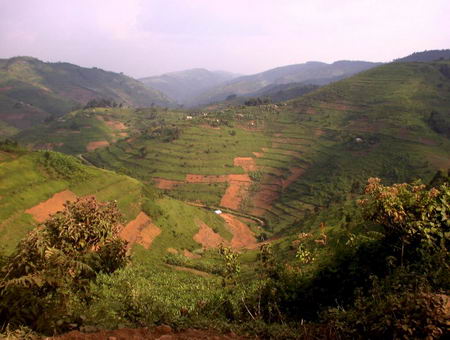 David Mozer - our personal guide in Uganda