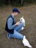 Parrots feeding Parrots feeding