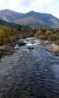 Fly fishing in Bhutan