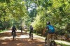 Eco and Wildlife tour in Iguassu Falls