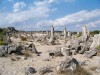 Natural phenomenon - The Petrified Forest Natural phenomenon - The Petrified Forest