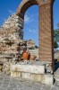 Wine tasting tour in Nessebar