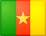 Flag of Cameroon