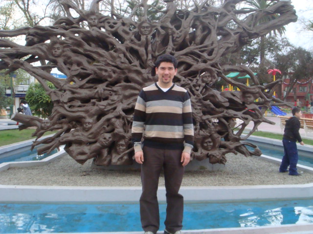 Private Guide in Chile