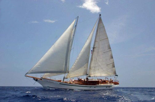 Private Guide in Dominican Republic