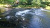 Sightseeing nature tour in Tallinn