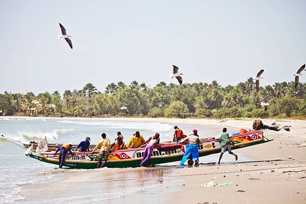 Private Guide in Gambia