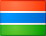 Flag of Gambia