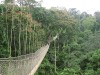 Kakum National Park