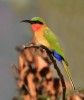 Eco and Wildlife tour in Accra