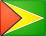 Flag of Guyana