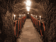 On the road of the Hungarian wines