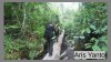 Borneo Jungle Expedition Borneo Jungle Expedition