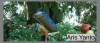 Borneo Jungle Expedition Borneo Jungle Expedition