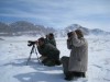 Winter Safari