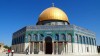 Private Guide in Israel. Zel Lederman