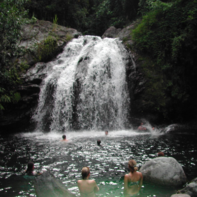 Blue mountain tours - Jamaica