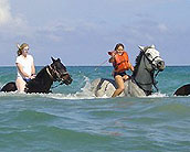 Seville Heritage Beach Ride on Horseback