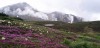 Japan.Daisetsuzan