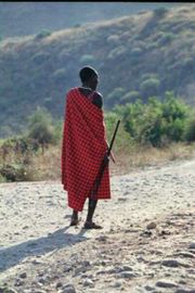 African Safari Tour. Masai