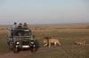 Safari in Nairobi