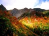 Sightseeing nature tour in Seoul