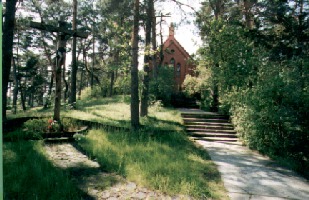 Giedrius. View of National Park Of The Curronian Spit