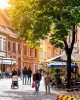Private Guide in Lithuania. Marius