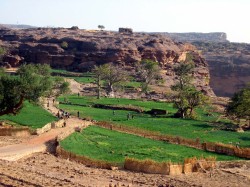 Balanzan tours. The Dogon Country