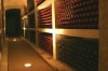 Cojusna wine cellar