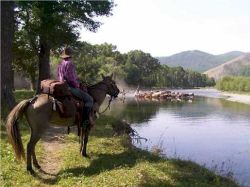 Private Guided Tours of Mongolia