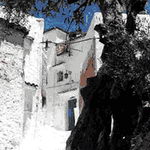 Private tour in Morocco