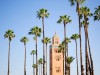 Private Guide in Morocco. AB.Alaoui AMHAMDI  Moulay IDRISS