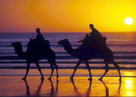 Private Tour in Morocco