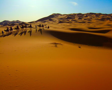  Sahara Expedition