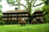 Safari in Kathmandu