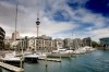 Auckland City Tour in Auckland, New Zealand